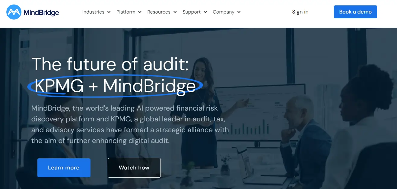 MindBridge AI Auditor