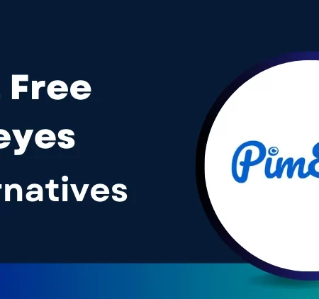 12 + Pimeyes Free Alternatives for 2024 (Comparison)
